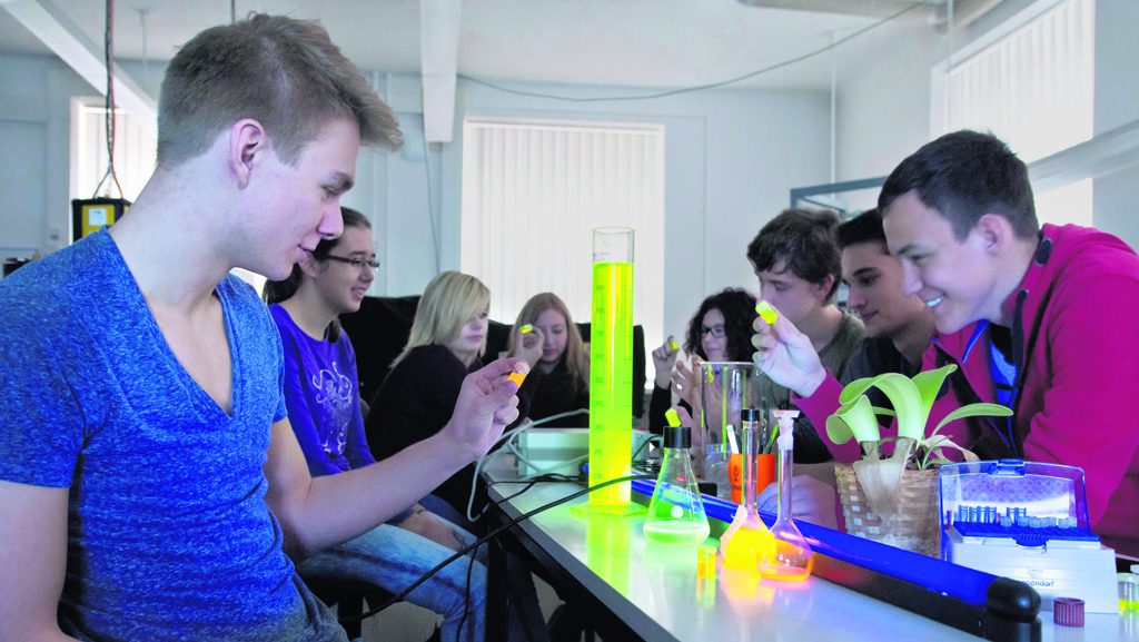 Schülerinnen und Schüler untersuchen Pflanzen unter dem Mikroskop