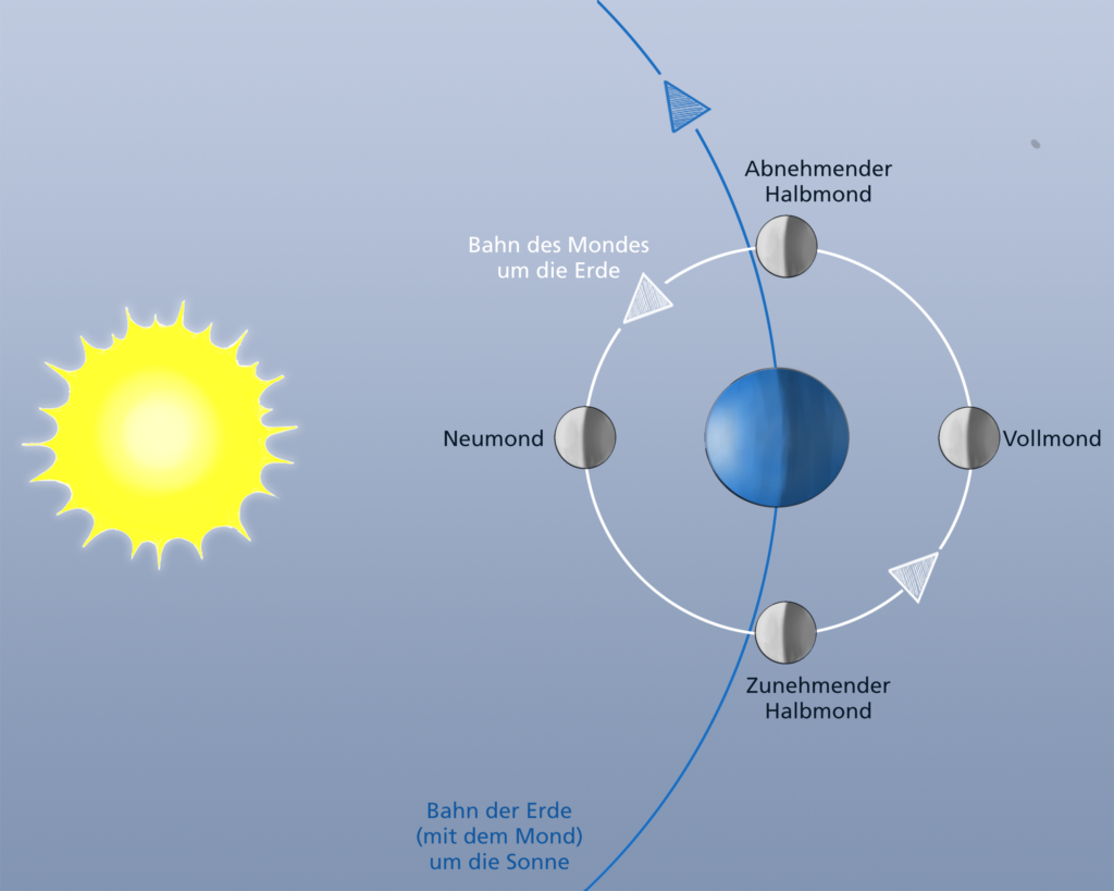 Mit der Sonne "im Rücken" sehen wir die von ihr erleuchtete Seite des Mondes (Vollmond). Stehen Sonne, Erde und Mond im rechten Winkel, ist Halbmond. Wenn der Mond zwischen der Sonne und uns steht, sehen wir ihn gar nicht. © Schülerforschungszentrum Südwürttemberg (SFZ)