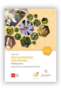 Abbildung Cleverness der Bienen