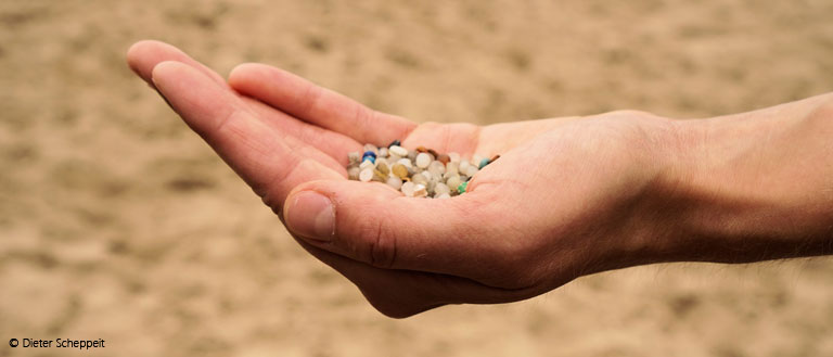 PlastikpelletsElbstrand_Header