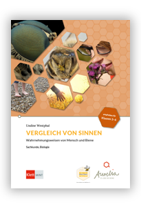 Vergleich von Sinnen