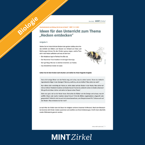 Bienen (Hecken) 2-2022 Titelbild