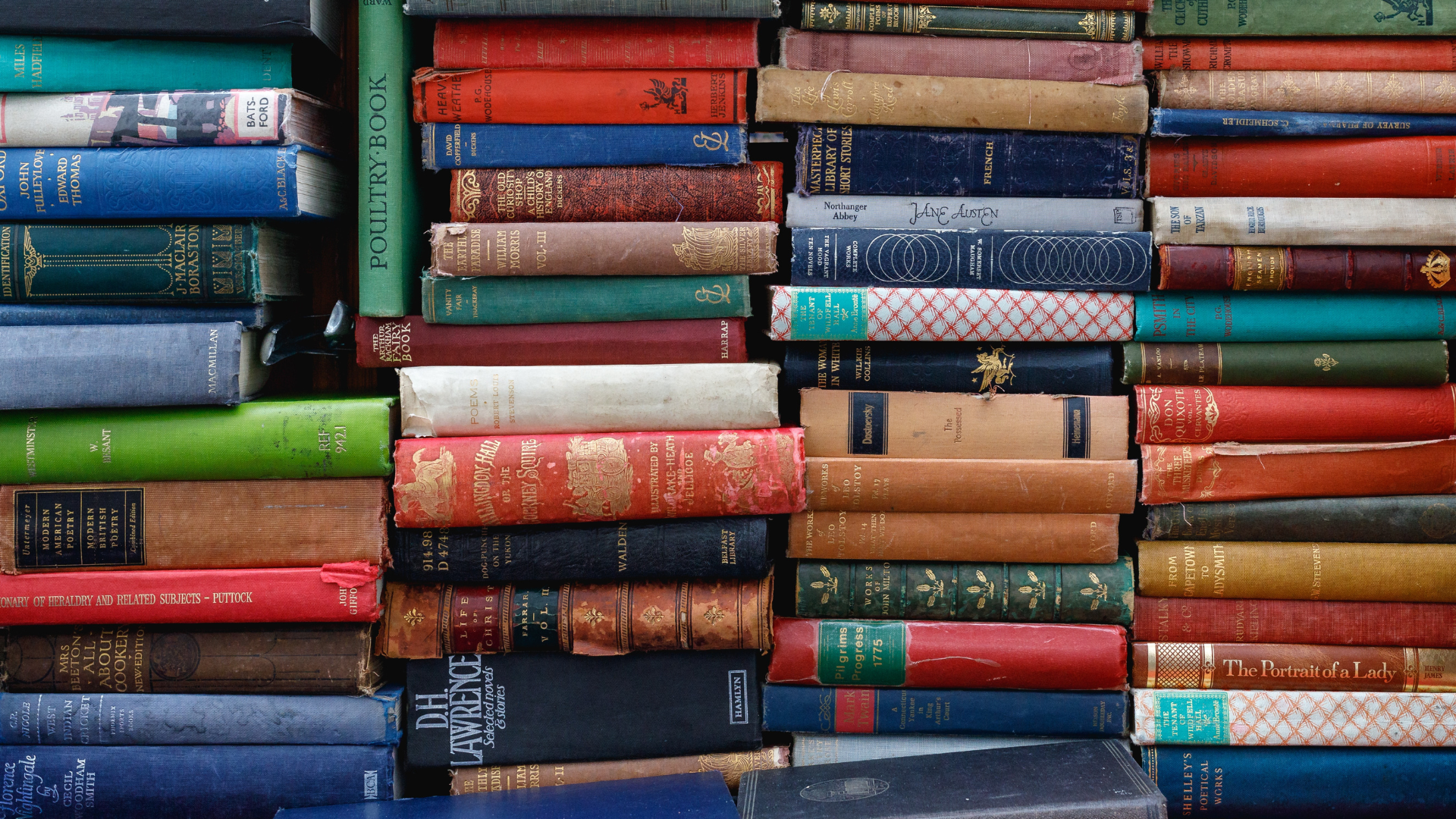Header_Entdeckt_02-2023 (23)