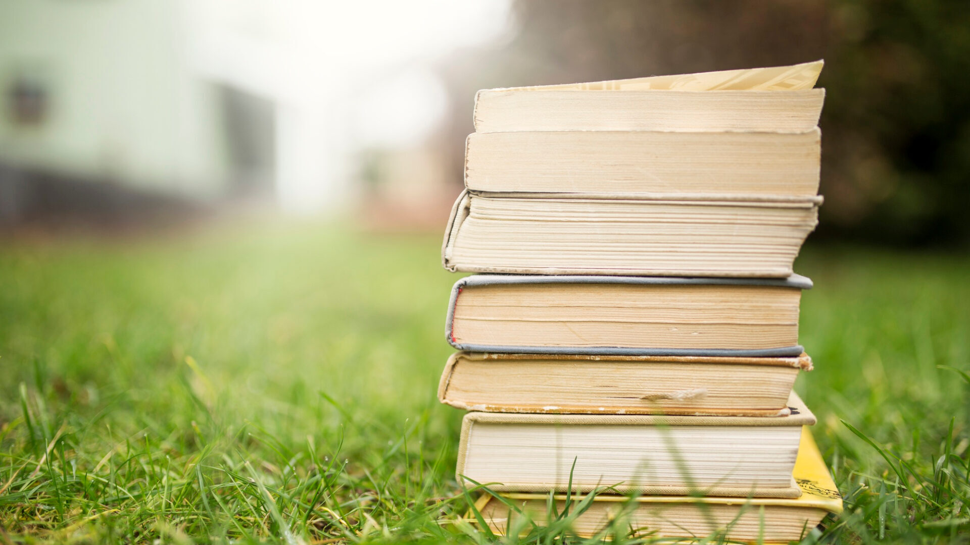 Bücherstapel auf einer grünen Wiese