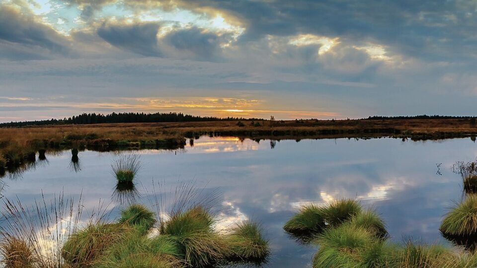 Weite Moorlandschaft