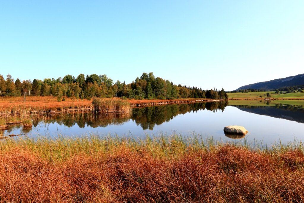 Moorlandschaft in warmem Licht